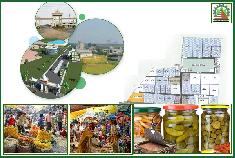 West Bengal State Food Processing and Horticulture Development Corporation Limited